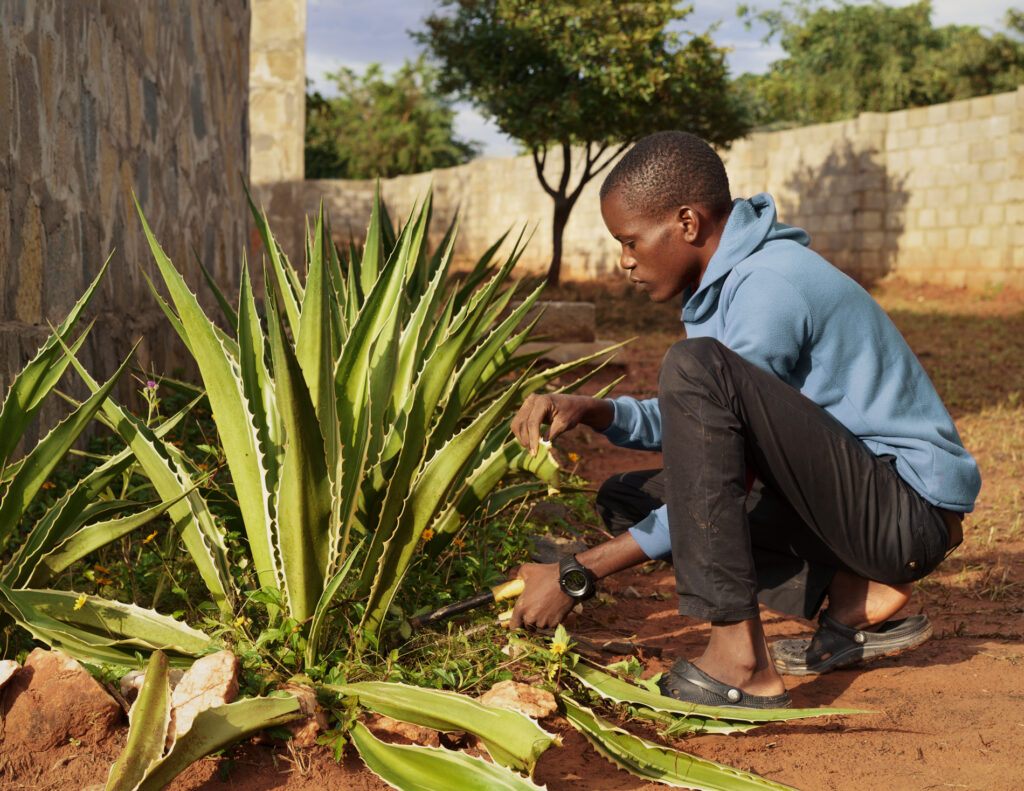 youth gardening