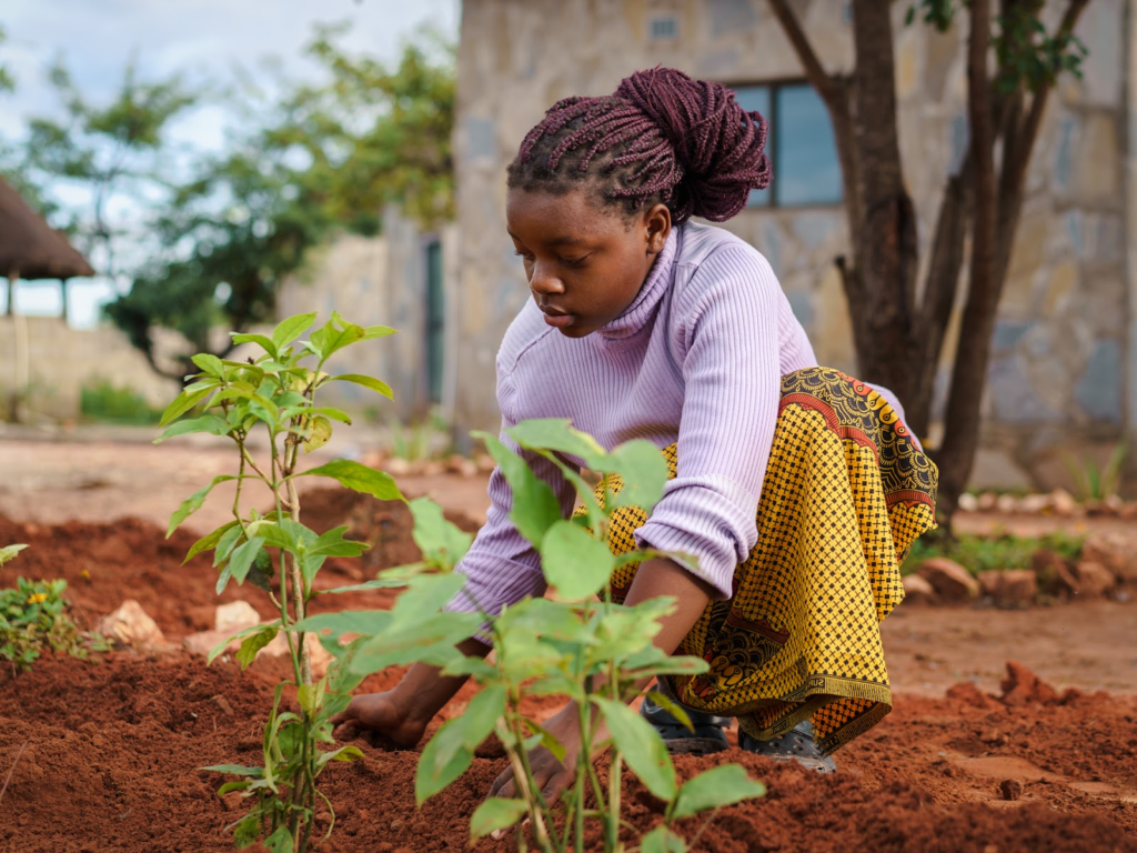 Photograph of Mapalo, student at Our Moon Education, planting new plants into the orange earth in Zambia